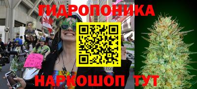 дживик Кимры